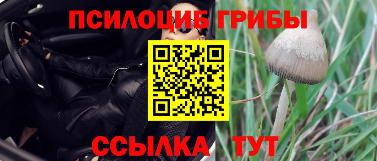 Псилоцибиновые грибы Magic Shrooms Магадан