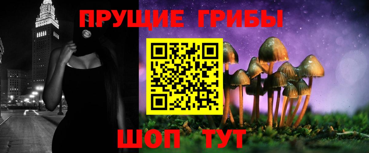 Галлюциногенные грибы мицелий  Вход с VPN  Магадан 