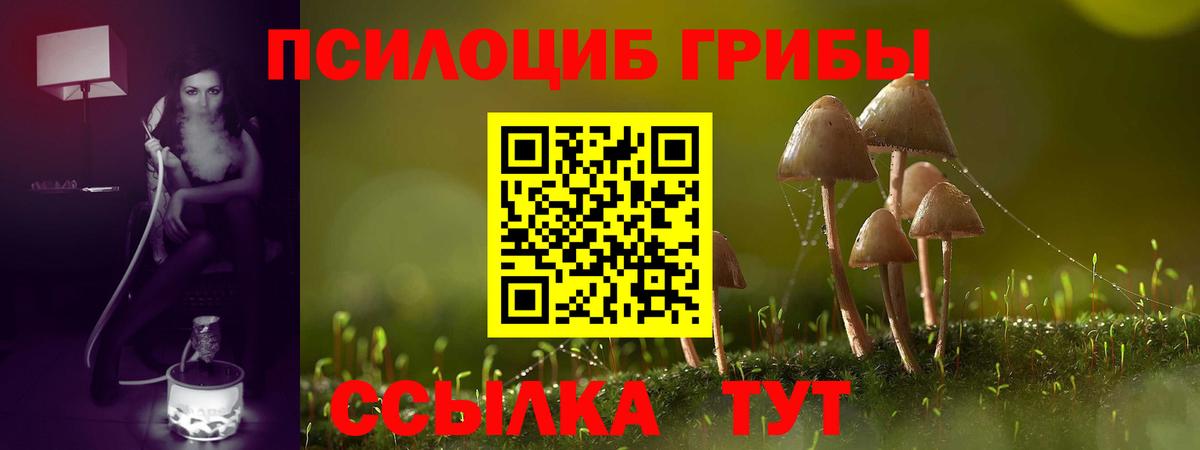 Магадан  ГАШИШ  Кокаин  Экстази  МЕФ   Как найти наркотики?  А ПВП СК   Вход с VPN  Канабис  Гашиш 